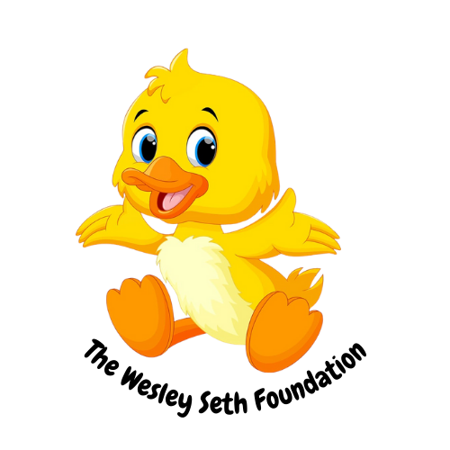 the Wesley Seth Foundation