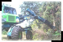 Canal Cleaning