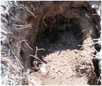 Outfall Pipe Repair