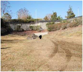 Huntridge Pond Excavation