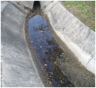 Miami Springs Dr Pipe Cleaning