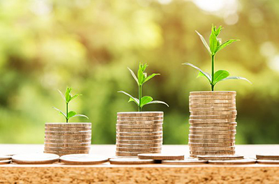 Image: Coin stacks and sprouts.