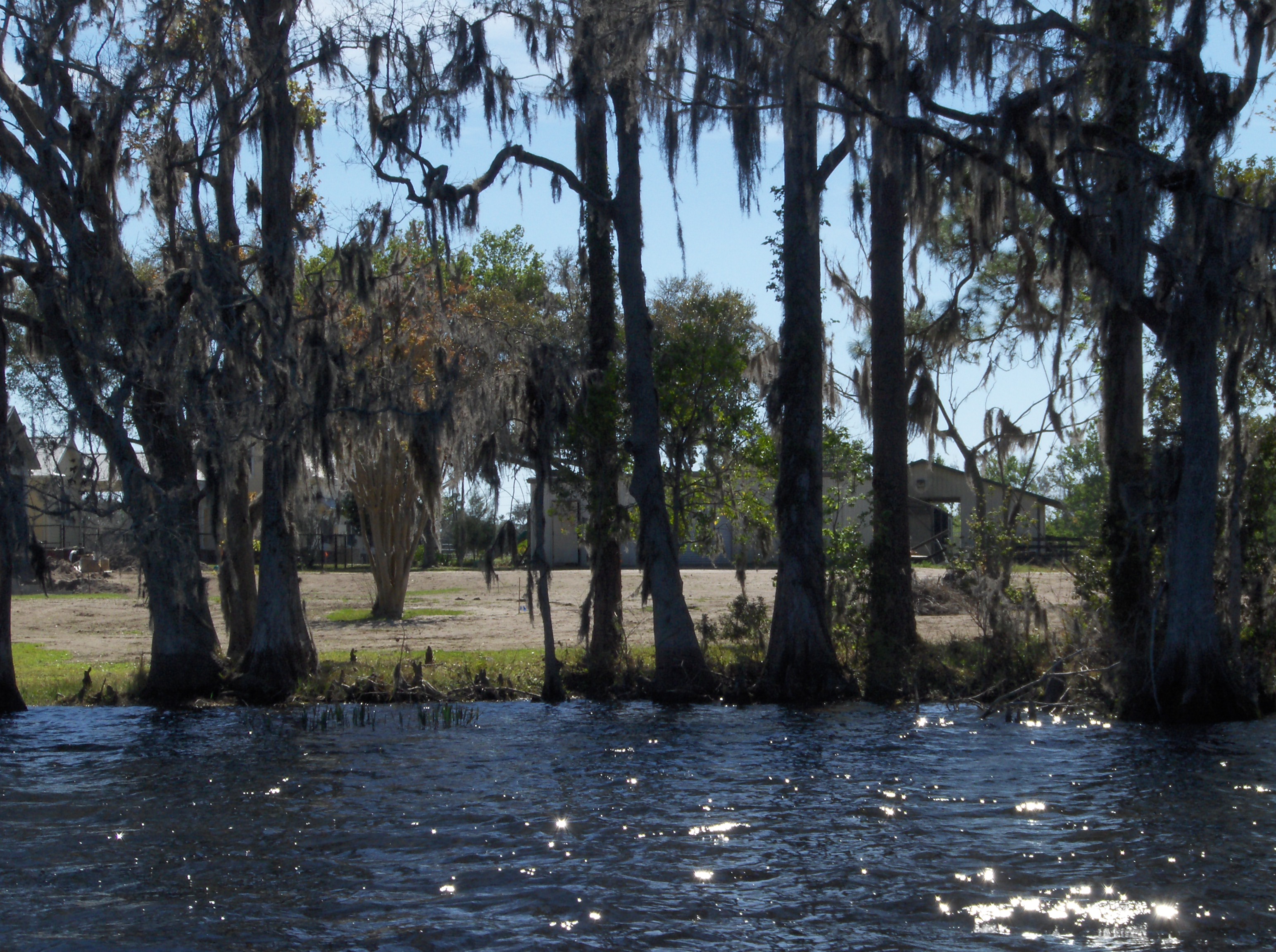 Lake Mills Shoreline