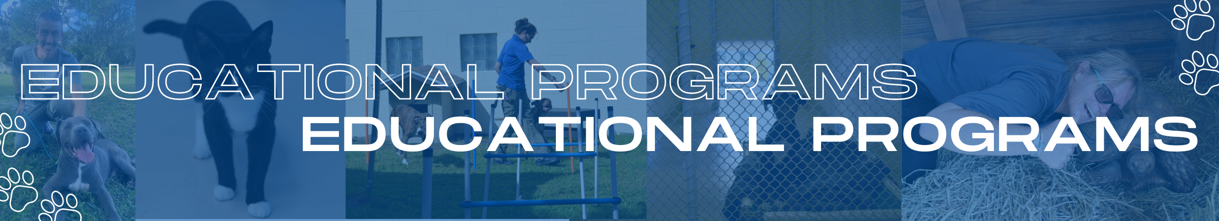 educational background banner