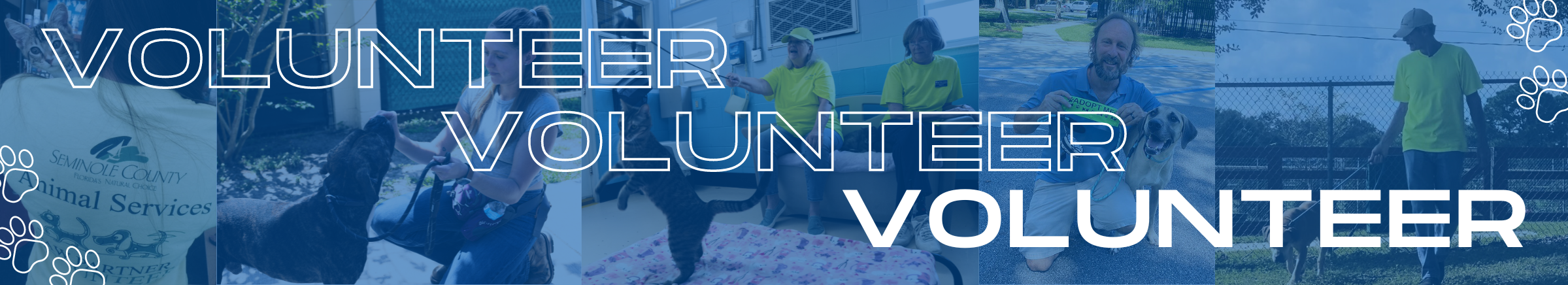 volunteer banner
