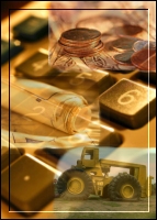 economic picture