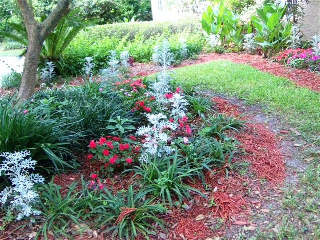Landscaping & Gardening