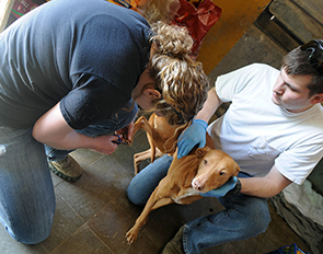 Volunteer Slider Image